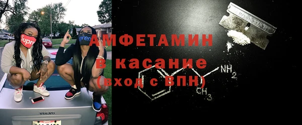 ПСИЛОЦИБИНОВЫЕ ГРИБЫ Верея