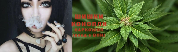 ПСИЛОЦИБИНОВЫЕ ГРИБЫ Верея
