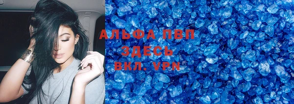 ПСИЛОЦИБИНОВЫЕ ГРИБЫ Верея