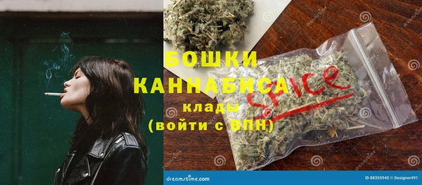 ПСИЛОЦИБИНОВЫЕ ГРИБЫ Верея