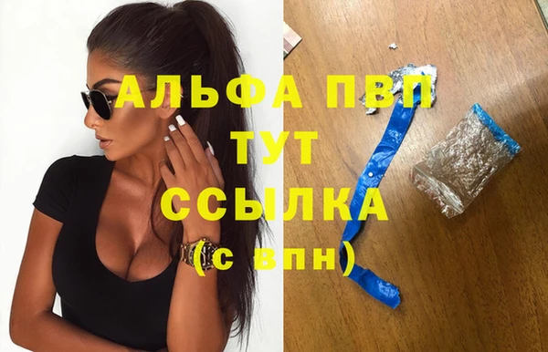 ПСИЛОЦИБИНОВЫЕ ГРИБЫ Верея