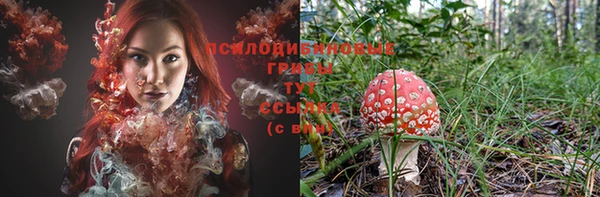 ПСИЛОЦИБИНОВЫЕ ГРИБЫ Верея